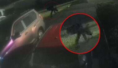 Auckland migrant family targeted by criminals twice in three days