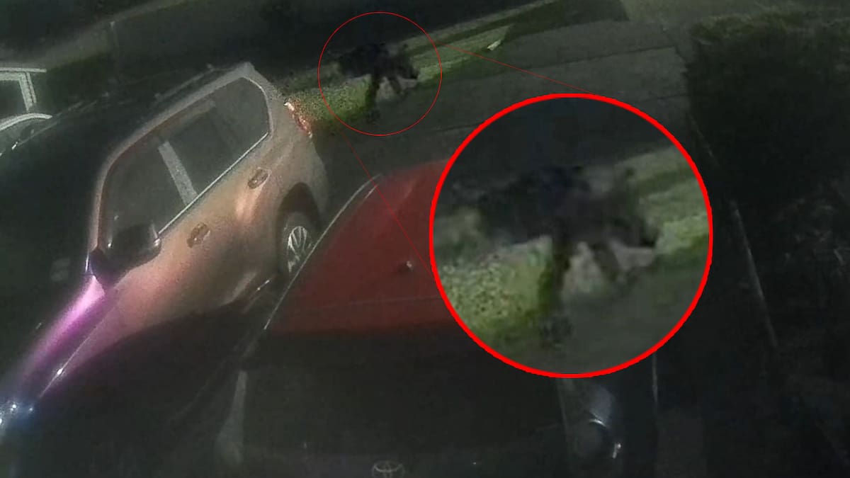 Auckland migrant family targeted by criminals twice in three days