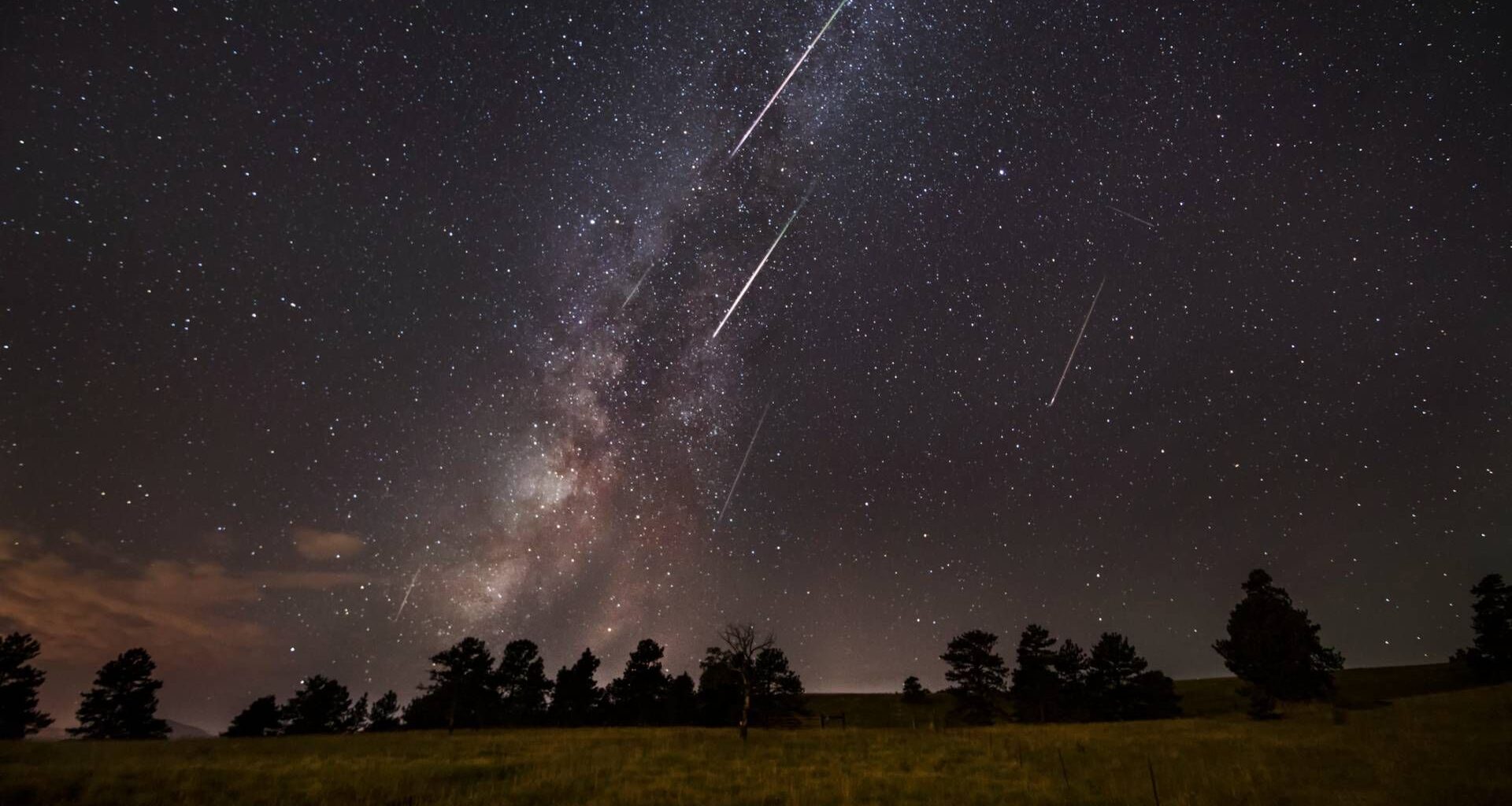 A night sky filled with stars and the Milky Way, featuring several bright Perseid Meteor Shower streaks above the silhouette of trees and a grassy field.
