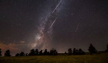 A night sky filled with stars and the Milky Way, featuring several bright Perseid Meteor Shower streaks above the silhouette of trees and a grassy field.