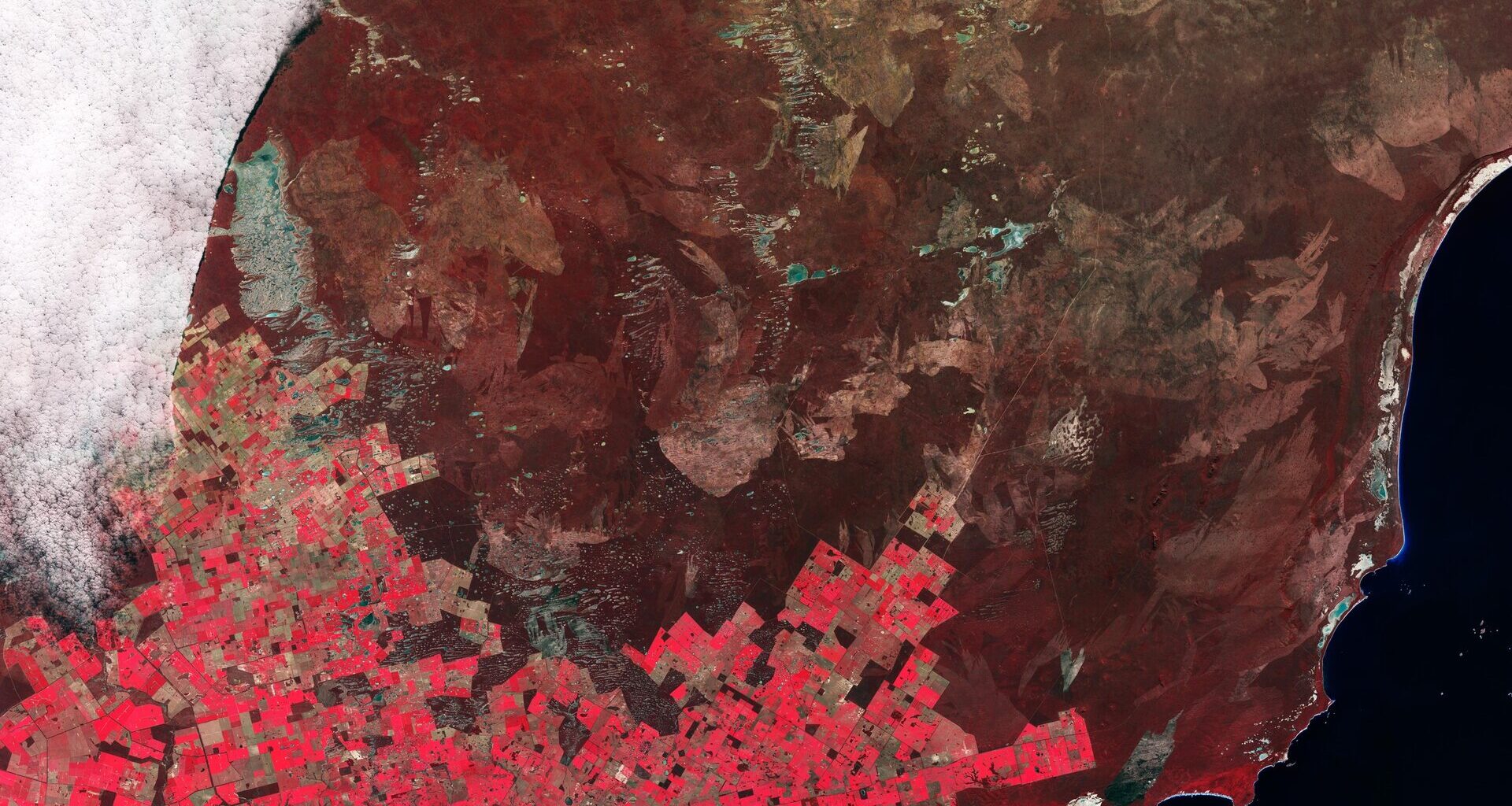Earth from Space: Agricultural patchwork