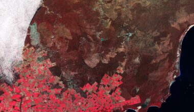 Earth from Space: Agricultural patchwork