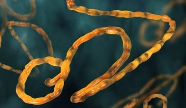 New battery-powered device detects Bundibugyo Ebola virus in thirty minutes