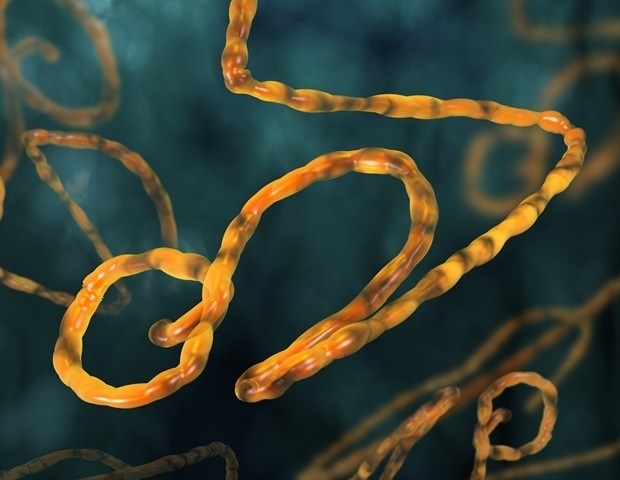 New battery-powered device detects Bundibugyo Ebola virus in thirty minutes