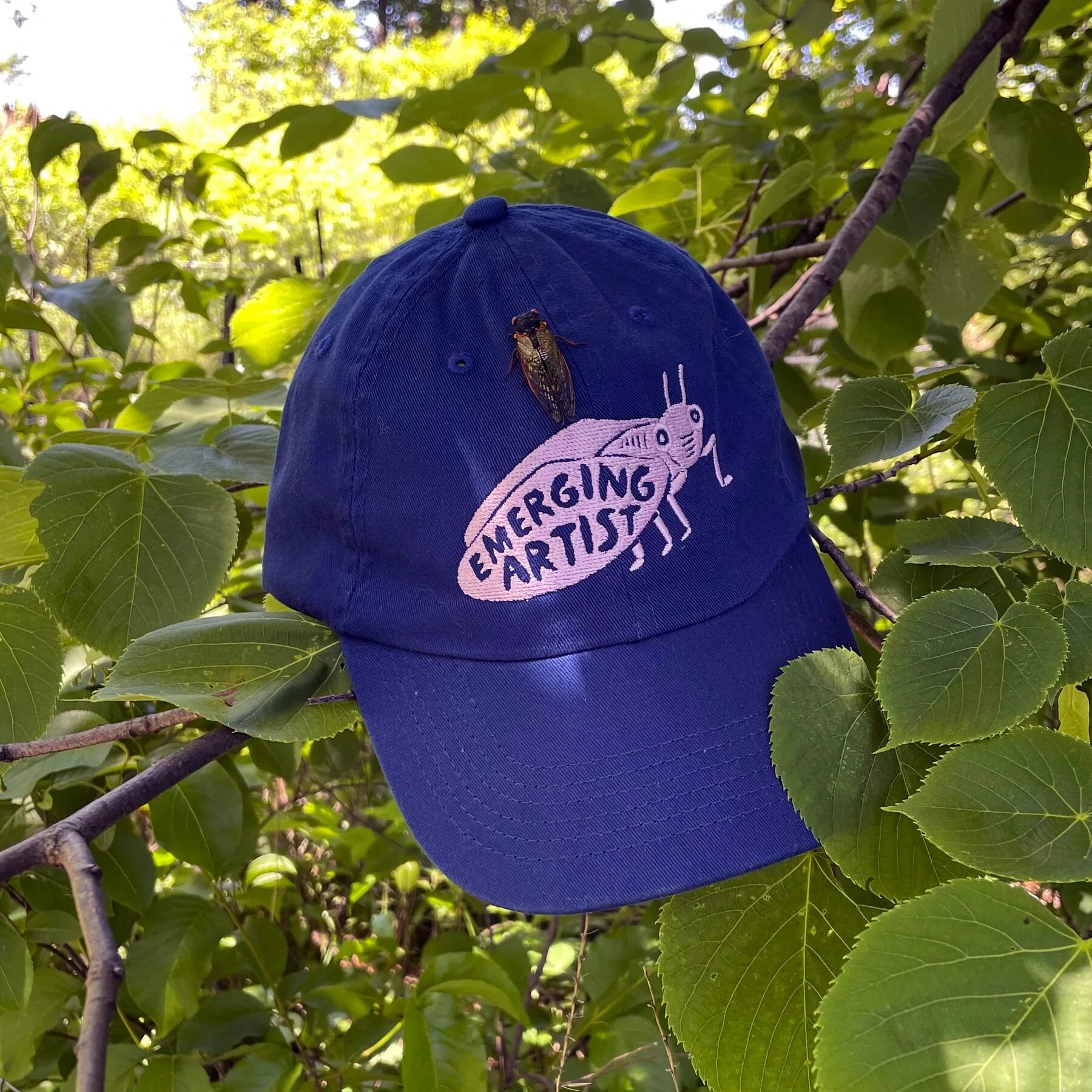 a hat of a cicada with the words emerging artist