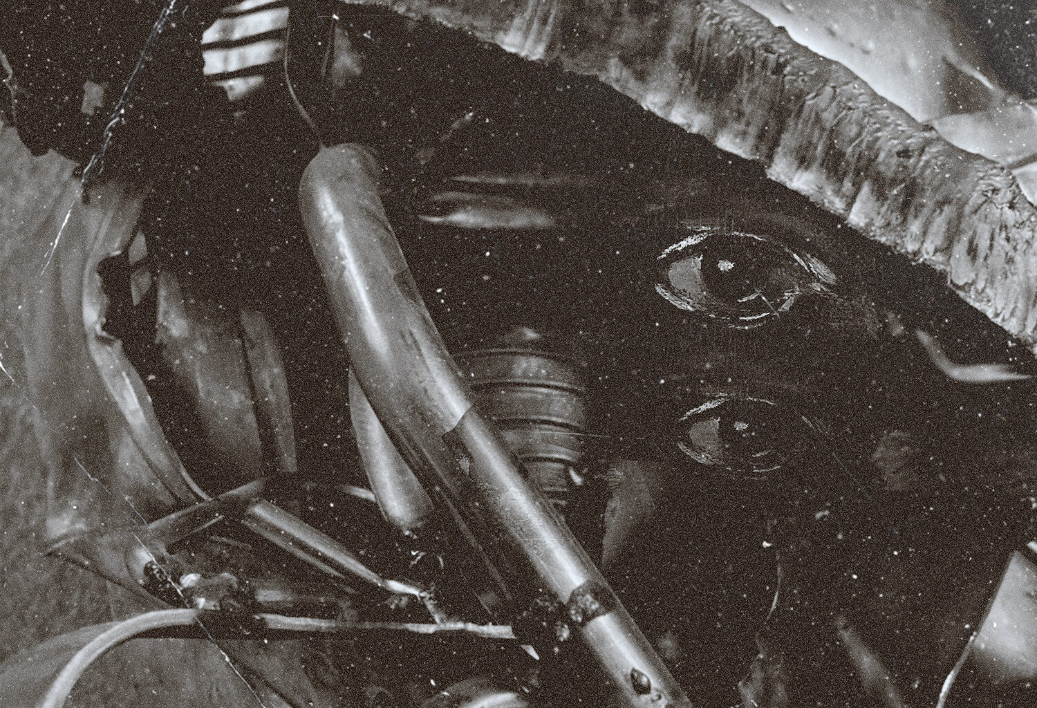 Emptiness - Nowhere Speaks Review