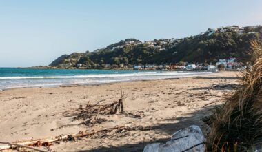 The Lyall Bay day plan: what to see, do and visit in Wellington seaside suburb