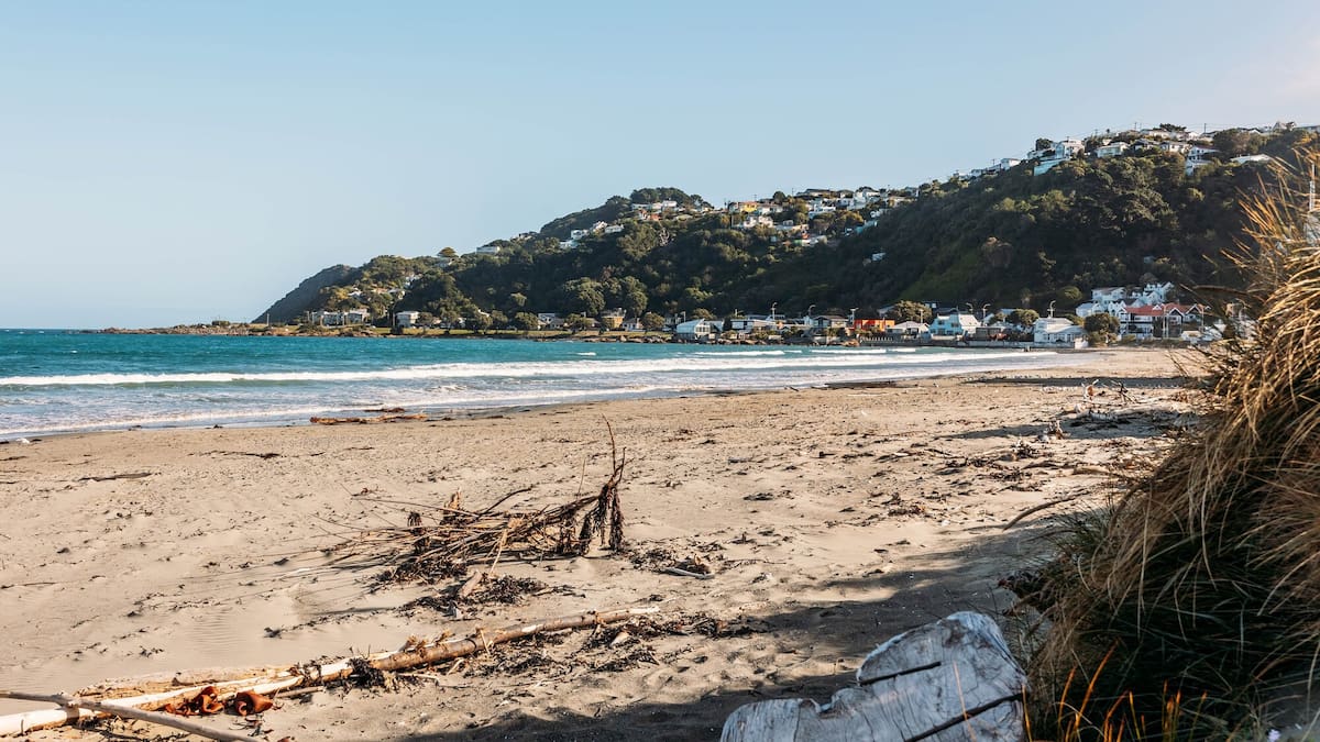 The Lyall Bay day plan: what to see, do and visit in Wellington seaside suburb