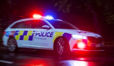 Hawke’s Bay orchard owner watches man steal 200 litres of fuel on live CCTV