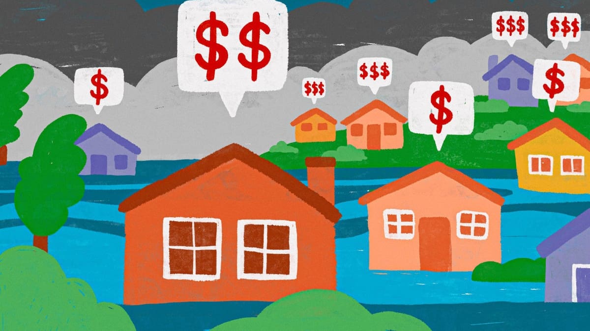 Flood-risk homes defy analysts’ expectations, gain value faster than unaffected properties