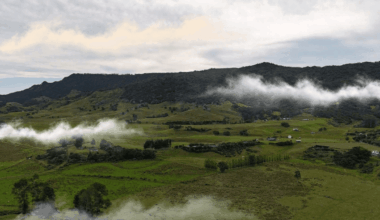 Meth ruined my dreams of going home to Northland