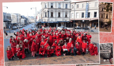 ‘I’m so cold’: Dunedin dances in the light of Kate Bush’s Wuthering Heights