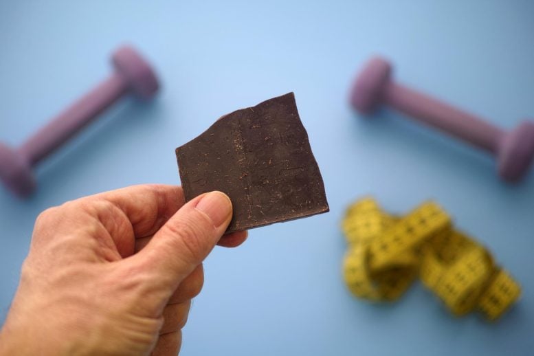Fitness Diet Hand Holding Broken Dark Chocolate