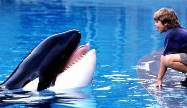 Free Willy Set For A Comeback With Russo Brothers Reboot