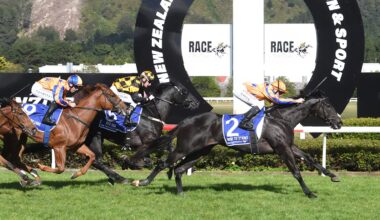 Revealed: The New Zealand racetracks targeted for closure - NZ Herald