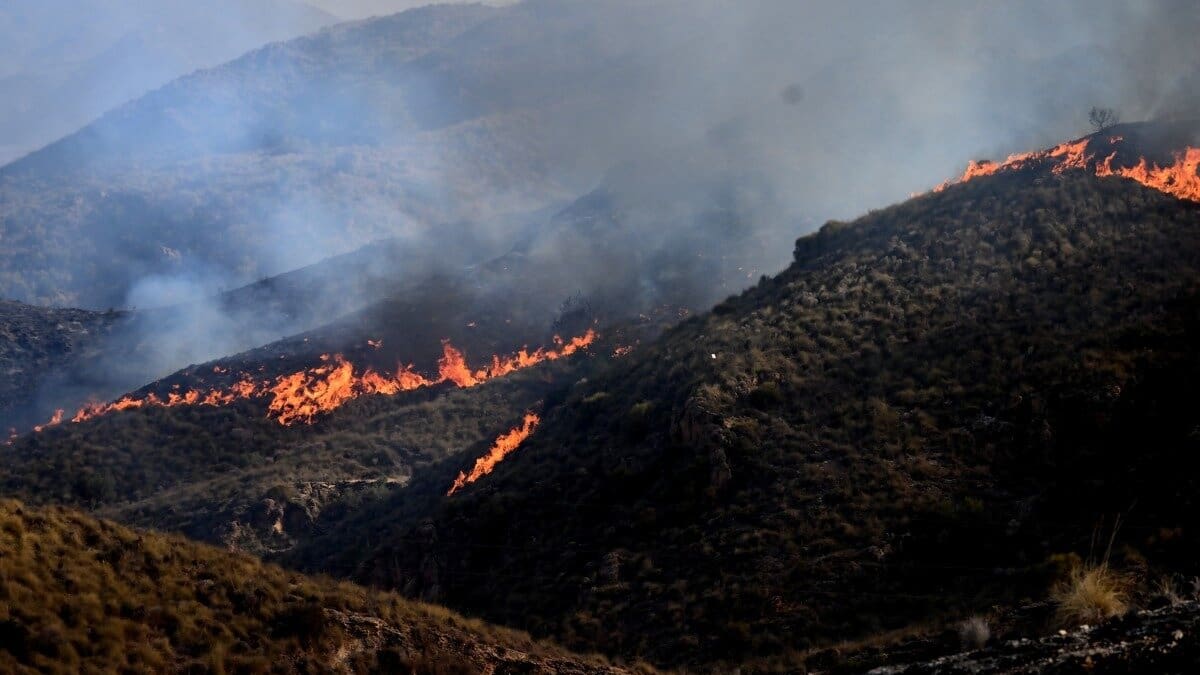 Spanish wildfire: Foreigners among 12 killed as Kiwis urged to follow local safety advice
