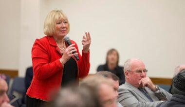 Auckland councillor Christine Fletcher claims colleague called her ‘f***ing fat b****’ during debate