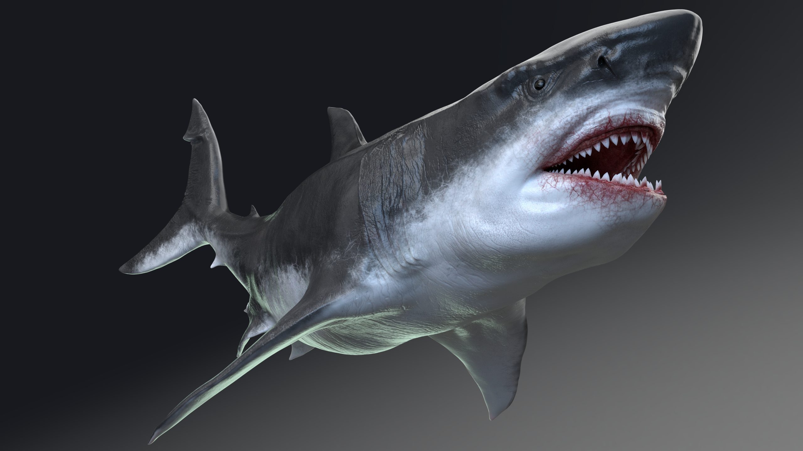 MEGALADON 3D rendering