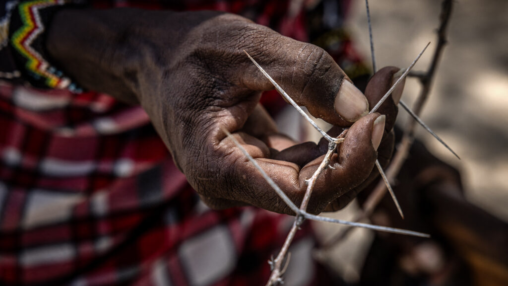 Mycetoma remains neglected 10 years after WHO recognition