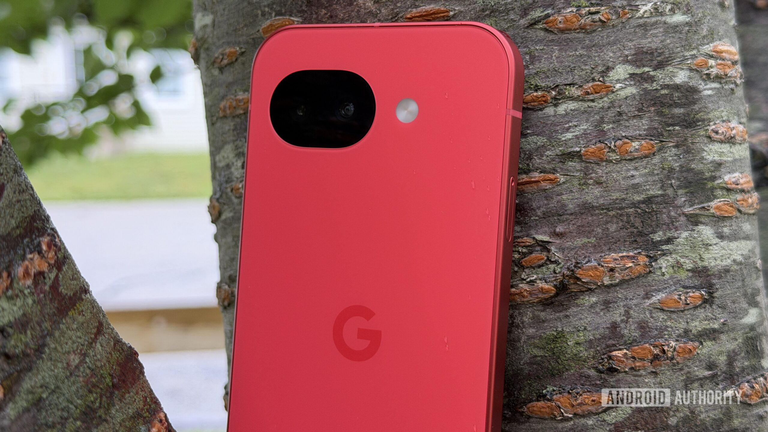 Google Pixel 10a Berry against tree