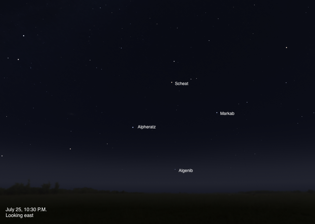 A simulated night sky looking east on July 25, 2026, at 10:30 P.M. The four corner stars of the Great Square of Pegasus are rising above the horizon, with Scheat and Markab visible in the upper portion of the frame and Alpheratz and Algenib lower down. The sky fades from deep blue at the top to a subtle twilight glow near the dark, flat horizon.