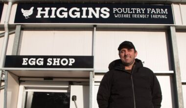 H5N1 bird flu in NZ: ‘It would really hurt,’ says Whanganui poultry farmer
