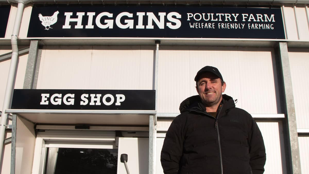 H5N1 bird flu in NZ: ‘It would really hurt,’ says Whanganui poultry farmer