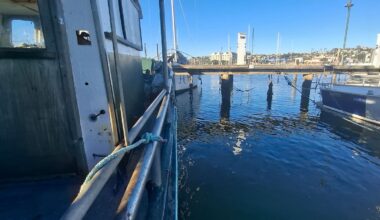 Napier Inner Harbour boat home seized by council, fisherman neighbour says move has cost man his ‘sanctuary’