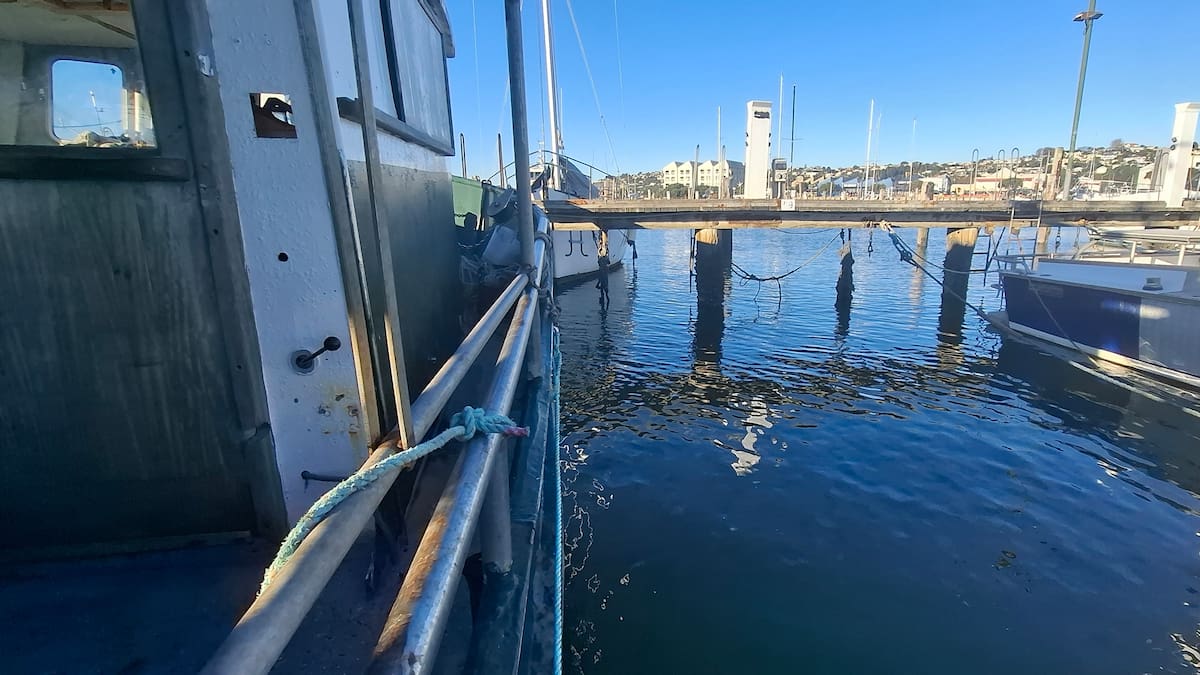 Napier Inner Harbour boat home seized by council, fisherman neighbour says move has cost man his ‘sanctuary’