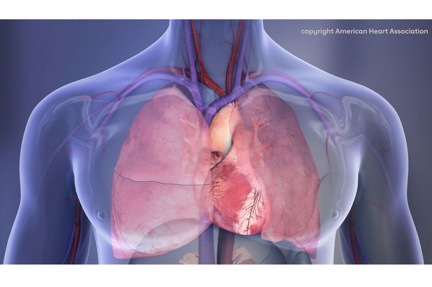Do breast cancer and irregular heartbeat have common risk factors and rates?