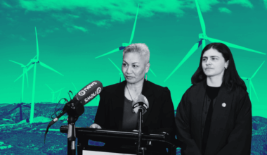 The Greens propose a state-owned energy company