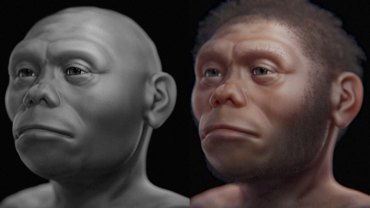 Here’s How This 'Hobbit'-Like Human Ancestor Survived on an Island with Komodo Dragons