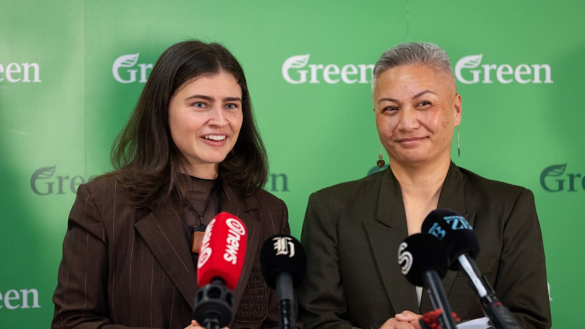 Greens launch manifesto and election slogan, ‘For All of Us’ - NZ Herald