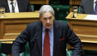 NZ First opposing clauses in Government’s Crimes Act reform