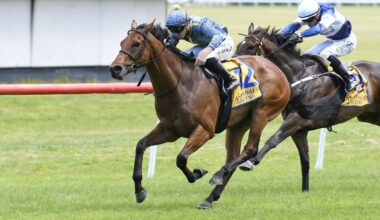 Horse racing: Avondale supporters hoping today’s last meeting not so final