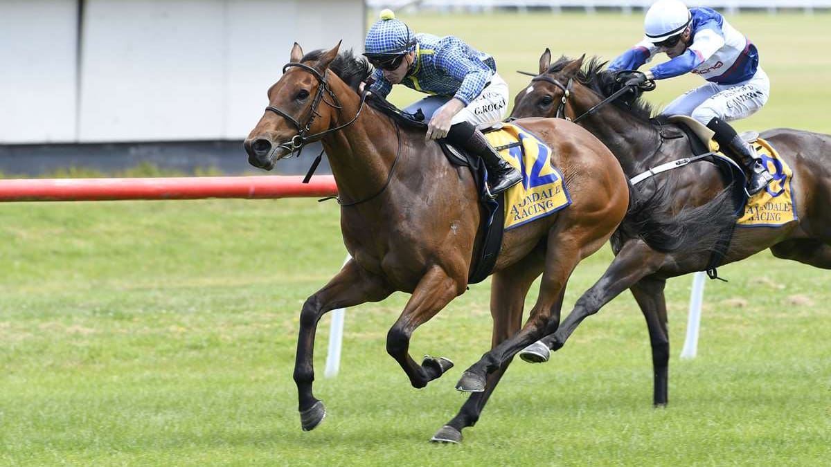 Horse racing: Avondale supporters hoping today’s last meeting not so final