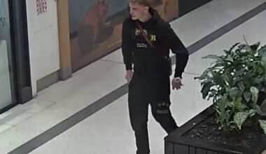 Police seek to identify man after Riccarton vehicle damage