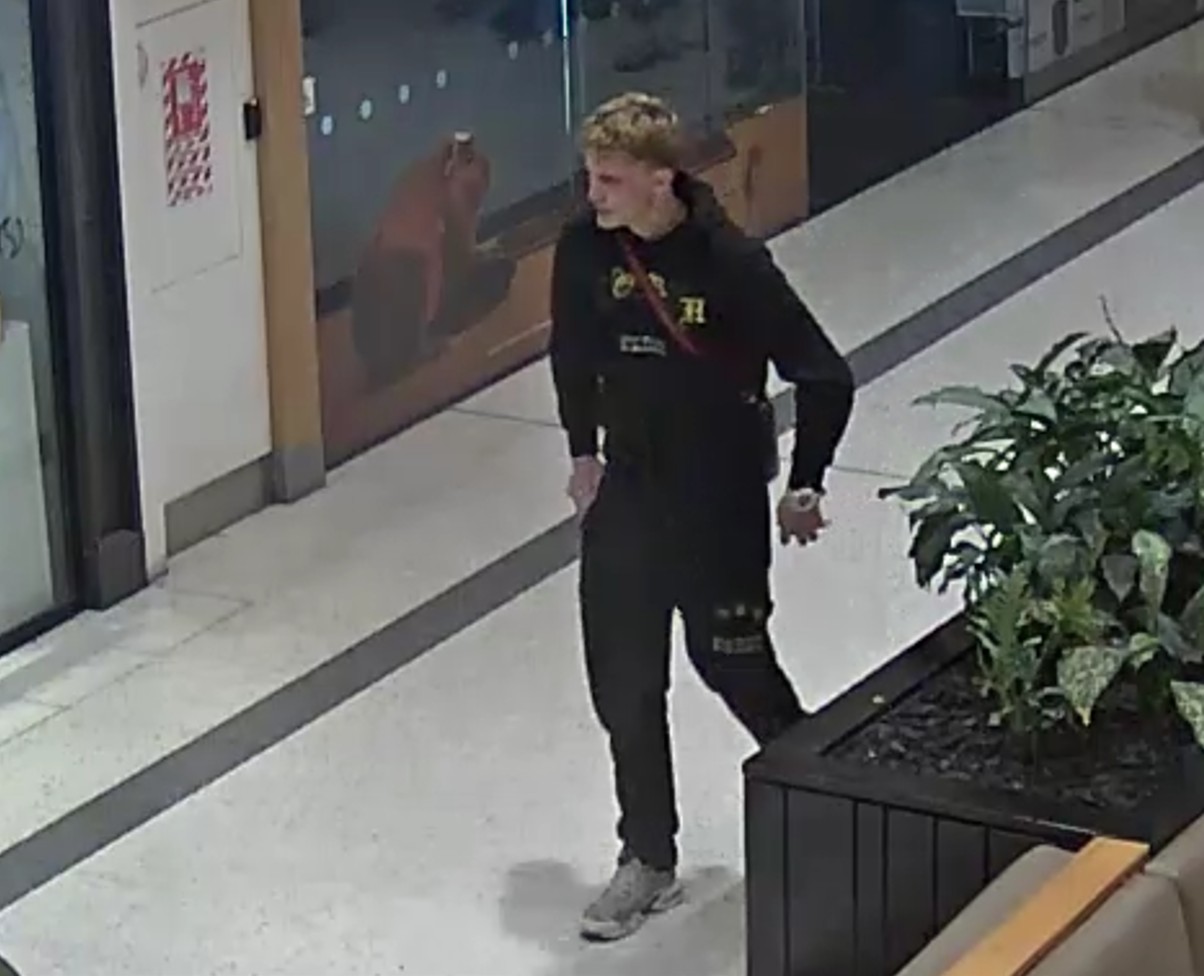 Police seek to identify man after Riccarton vehicle damage