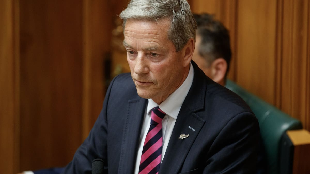 Former minister Andrew Bayly steps down from chairing Justice Select Committee to let ‘young people take over’