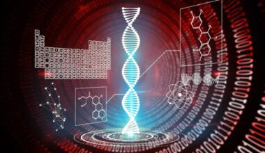 Synthetic Human Chromosomes Explained
