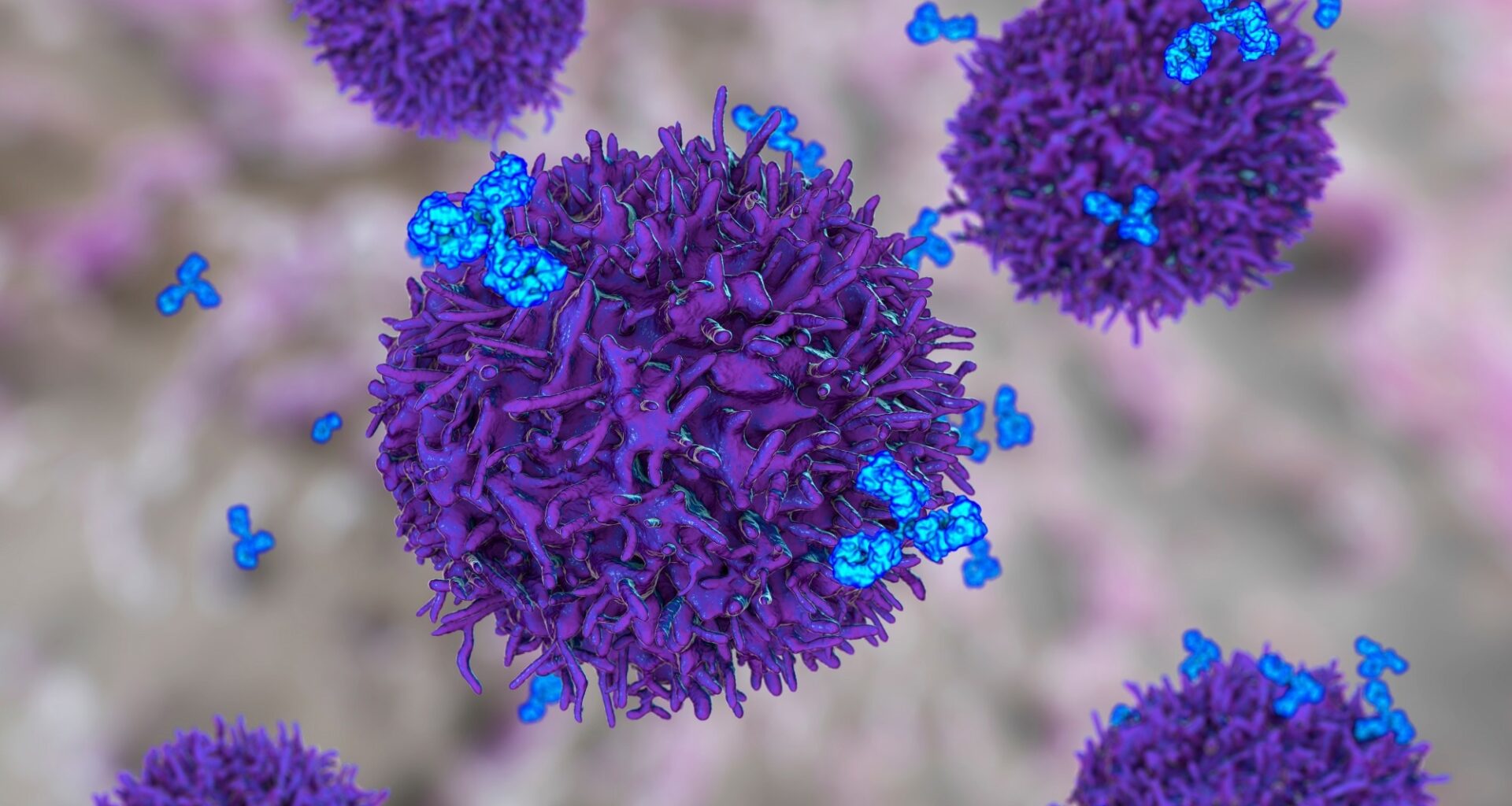 Memory B cells reveal how nasal vaccines could stop respiratory infections earlier