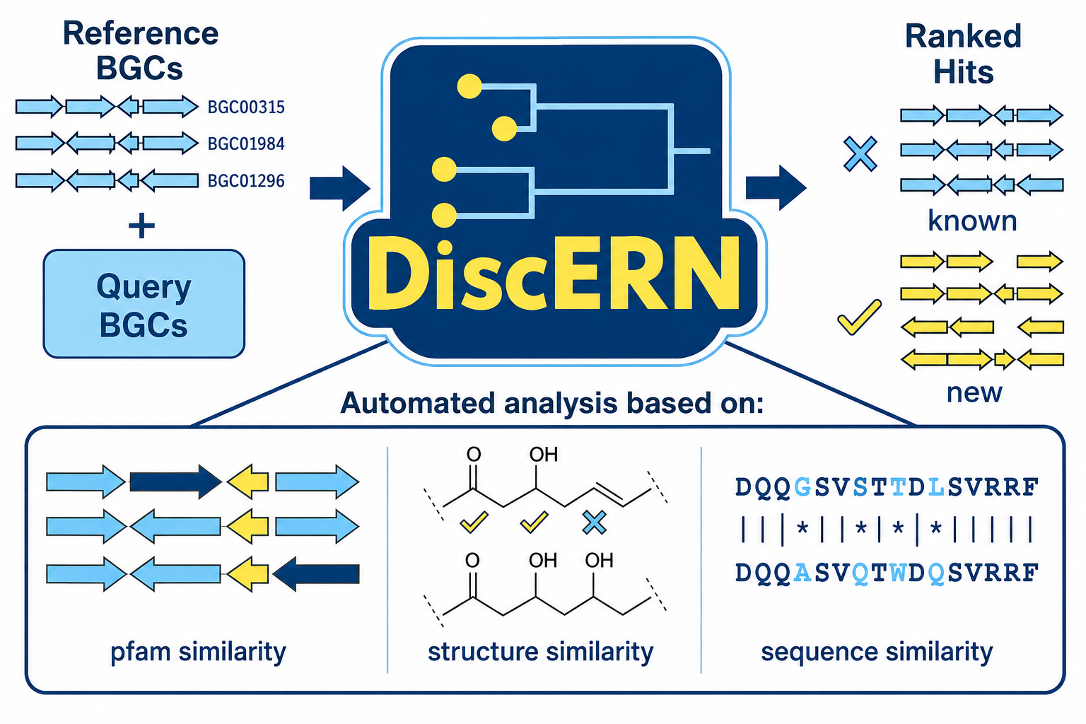 Schematic overview of DiscERN workflow: A user-defined family of BGCs specified using MIBiG numbers and a directory containing antiSMASH outputs for genomes to be analyzed is provided as input. DiscERN then applies and integrates an ensemble of algorithmic approaches to identify new family members and provides Intuitive outputs to facilitate prioritization for downstream functional analysis.
