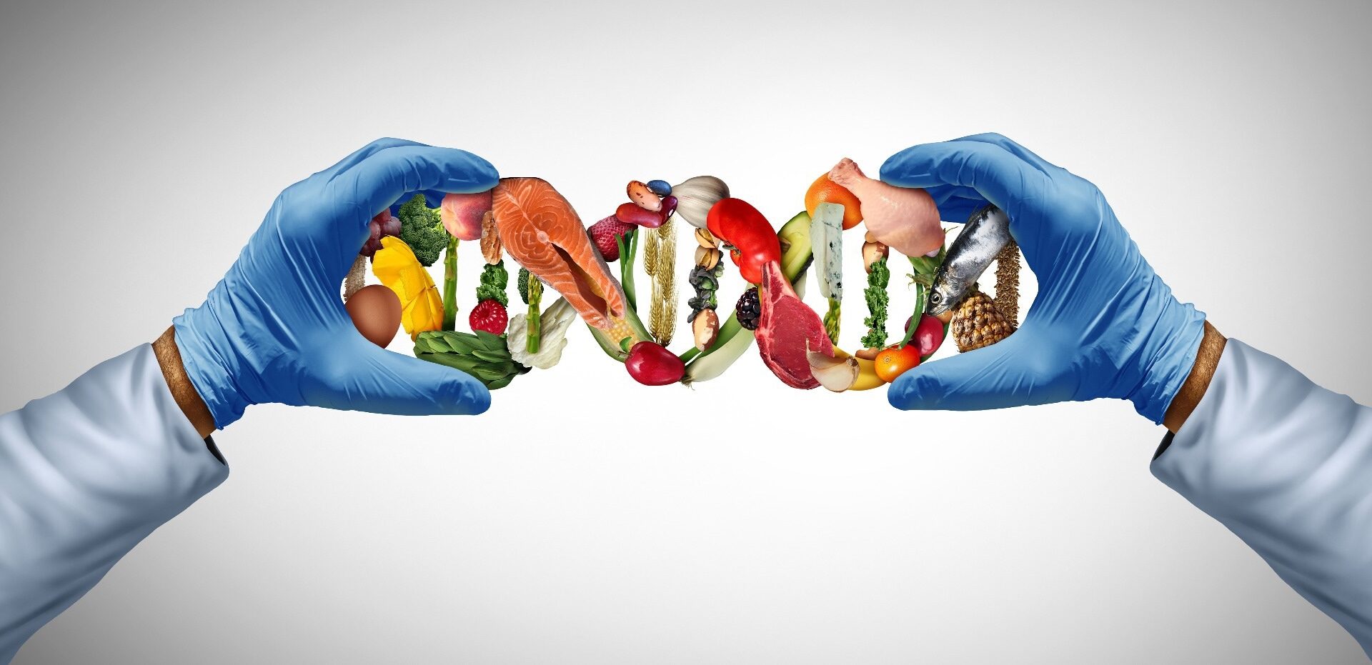 **Alt text:** Laboratory-gloved hands hold a DNA strand made of healthy foods, illustrating the relationship between genetics, nutrition and obesity research.