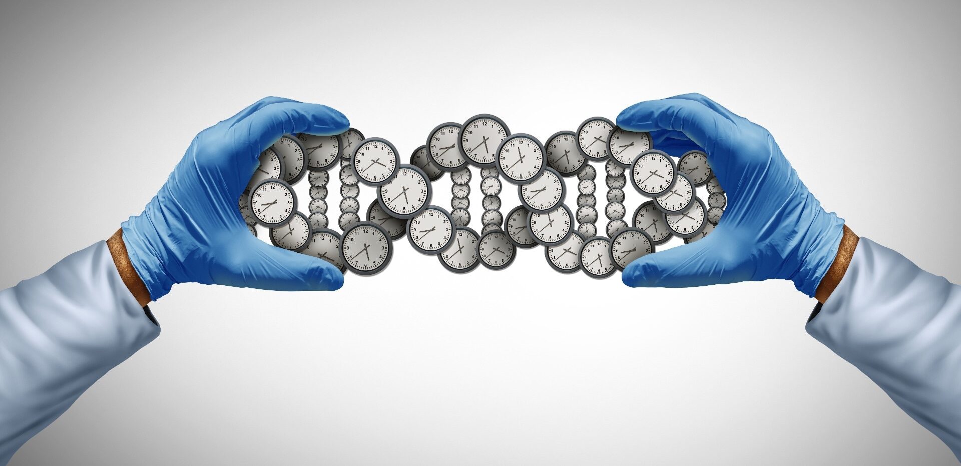 Study: How epigenetic clocks tick: unpacking the black box by deciphering biological pathways and transcriptomic signatures of accelerated aging. Image Credit: Lightspring / Shutterstock