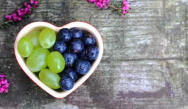Study: Polyphenols and Cardiovascular Health: Emerging Relevance for Blueberries, Grapes, and Red-Fleshed Table Grapes. Image Credit: Den Debono / Shutterstock