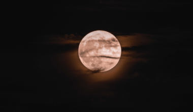 In February 1966, the Soviet Luna 9 probe bounced across the Ocean of Storms on airbags and unfolded like a metal flower, and within hours a British radio observatory intercepted its picture signal and published the first photograph from the surface of the Moon before Moscow had finished developing its own copy