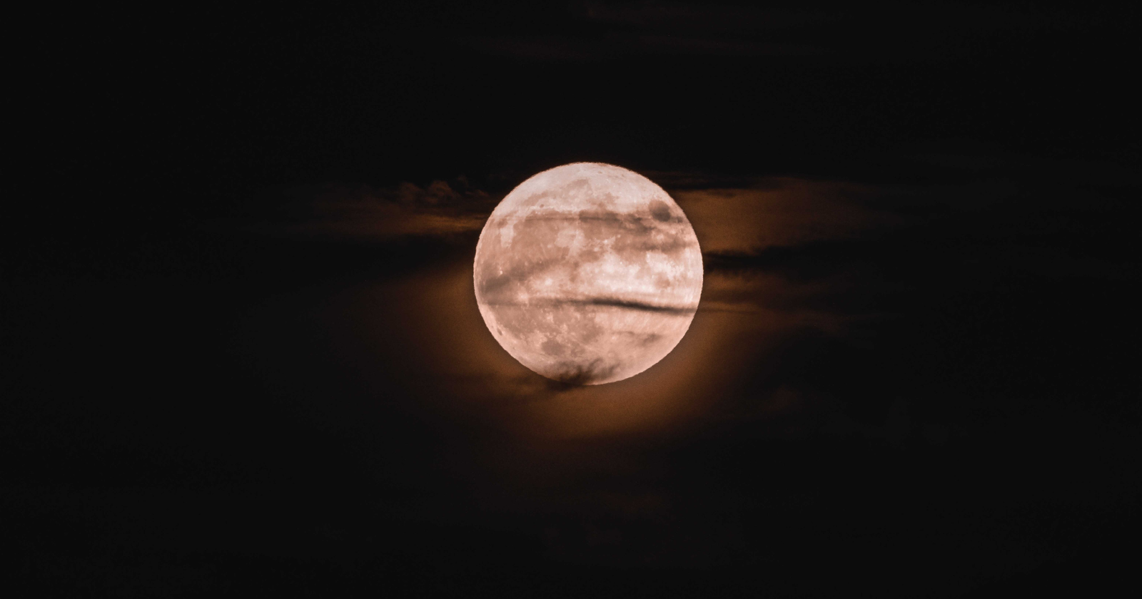 In February 1966, the Soviet Luna 9 probe bounced across the Ocean of Storms on airbags and unfolded like a metal flower, and within hours a British radio observatory intercepted its picture signal and published the first photograph from the surface of the Moon before Moscow had finished developing its own copy