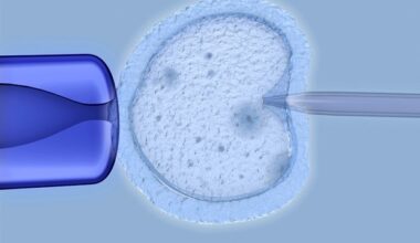 Modern IVF treatment boosts live births while lowering twin pregnancies