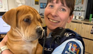 Stolen puppy Pebbles found safe after alleged North Shore theft