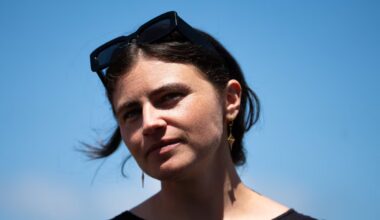 Greens want pause on consenting AI data centres - NZ Herald